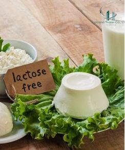 Lactose - Hóa Chất Thực Phẩm Hoàng Thanh - Công Ty TNHH Sản Xuất Thương Mại Đầu Tư Hoàng Thanh